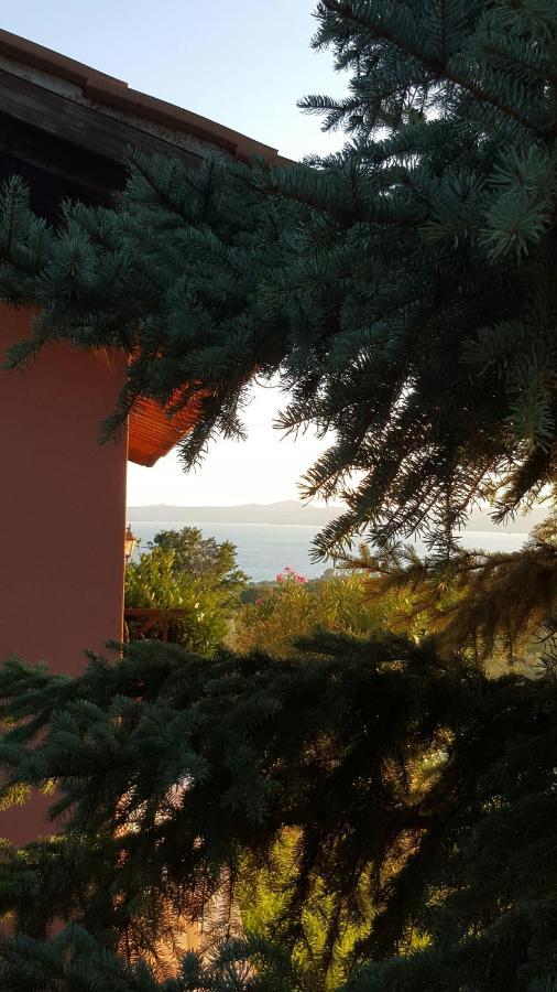 Casale Citerno Apartment Bolsena Exterior photo