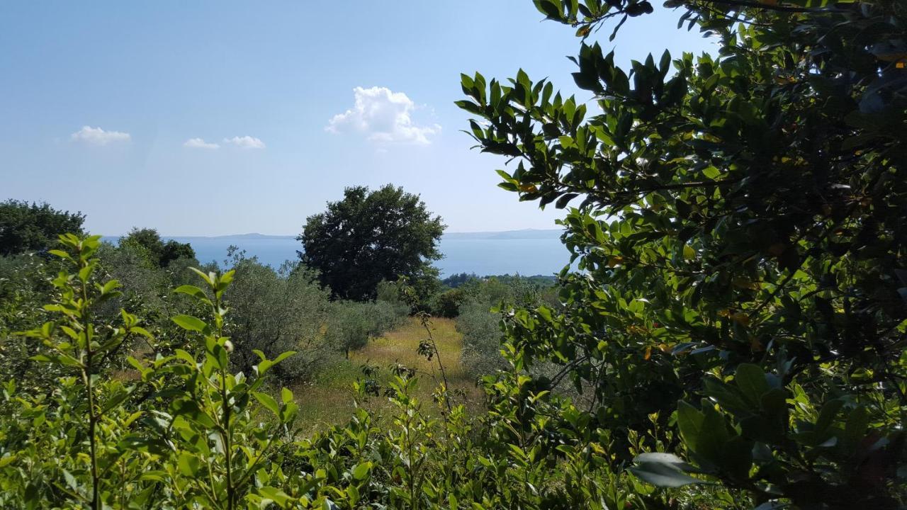 Casale Citerno Apartment Bolsena Exterior photo