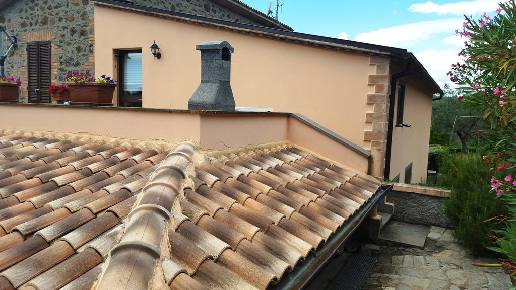 Casale Citerno Apartment Bolsena Exterior photo